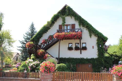 Apartment Route Du Vin Centre Alsace