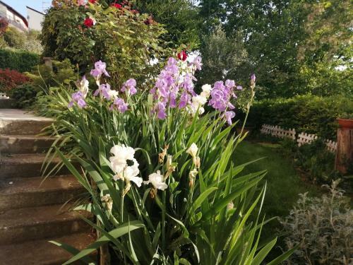Bed & Breakfast La Terrazza Sul Monferrato