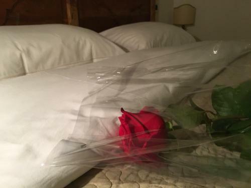 Bed & Breakfast La Corte Delle 4 Stagioni
