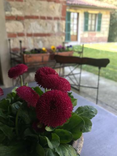 Bed & Breakfast La Corte Delle 4 Stagioni