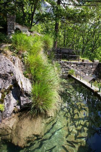 Chalet Sul Lago