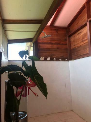 Agroturismo La Casita Del Bosque