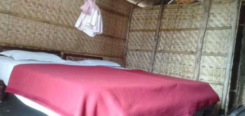 Rambo11 Homestay Hampi