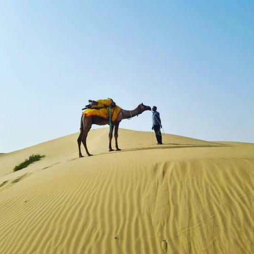 Hotel King-of Desert Camp Sam Sand Dunes