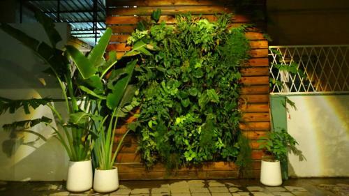 Hotel White Fern Stays
