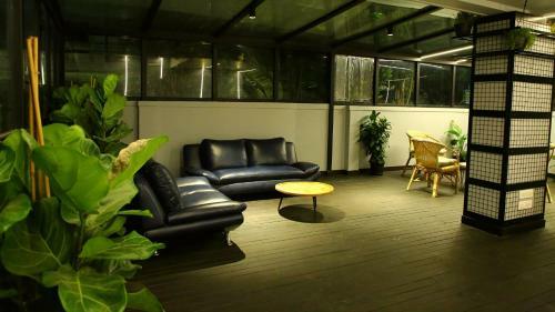 Hotel White Fern Stays