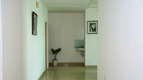 Hotel White Fern Stays