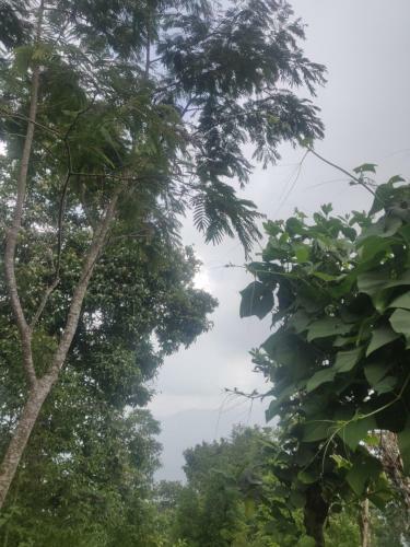 Tranquil Hillside Homestay