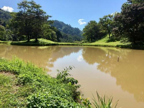 Just Nice ,selesa Hillhome Bukit Tinggi Bentong