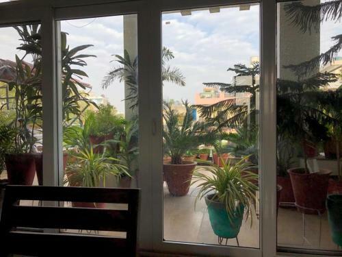 The Royal Luxury Suite