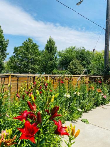Signature 2 Bedrooms Apartment Space Share Toronto