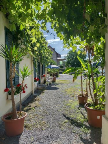 Hostal G�stehaus & Privatzimmer Posch