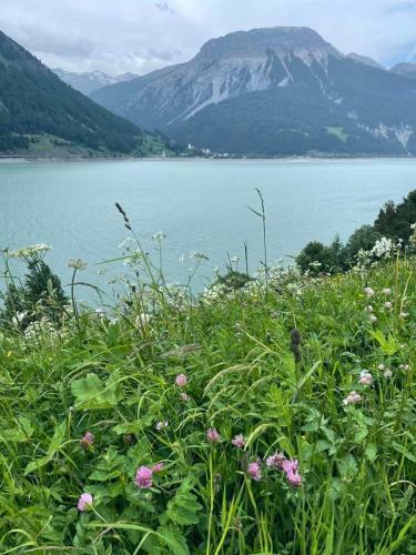 Apartamento Ferienwohnung Collie