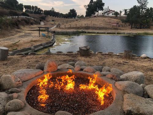 Apartamento 10 Acres Ranch W/ Horses, Pond, And More!