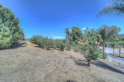 Apartamento 10 Acres Ranch W/ Horses, Pond, And More!