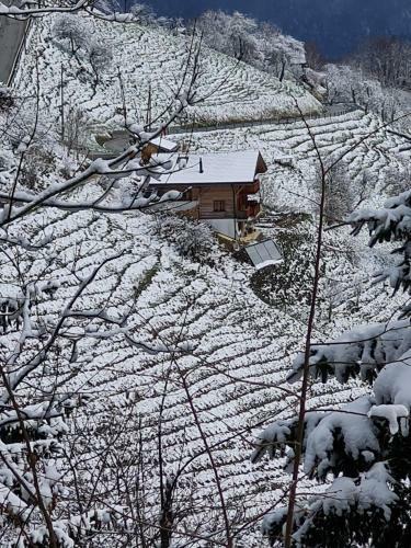 Apartamento Panorama, Appartement 34, Torgon Schweiz