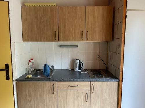 Apartamento Penzion Vib Nov� ?ivoho??