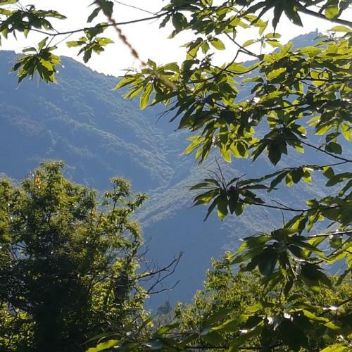 Posada Auberge Du Th�l�me