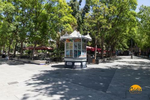 Apartamento Casa Nazar� - Wifi - Petfriendly - Ecofriendly