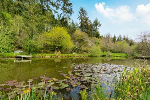 Apartamento Romantic, Secluded Cottage In Cardinham Woods, Cornwall