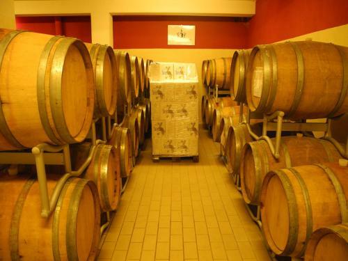 Agroturismo Sirignano Wine Resort
