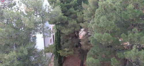 Apartment Quarnero