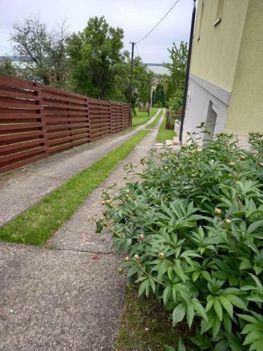 Holiday Home In Vonyarcvashegy - Balaton 42697