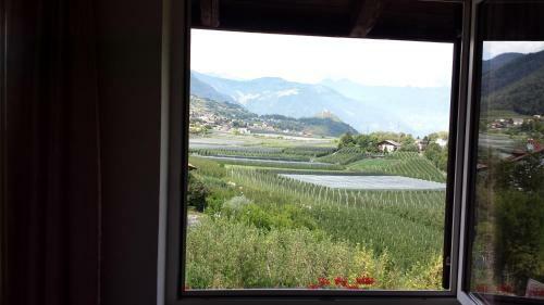 Hostal Felsenegg
