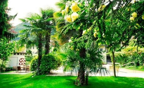 Aparthotel Apparthotel Gartenresidence Nalserhof