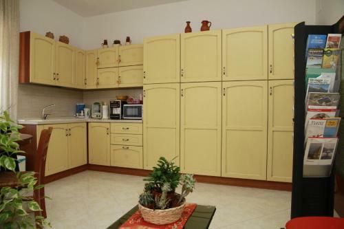 Hostal La Mimosa