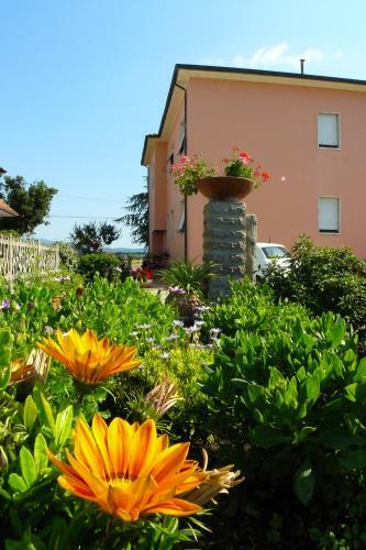 Hostal La Mimosa