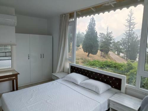 Tokg�z Hotel Restaurant