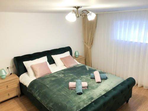 Ultra Central Apartment, Free Parking Oradea - Stray Cats