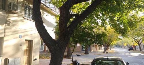 Apartamento Departamento En Mendoza Capital
