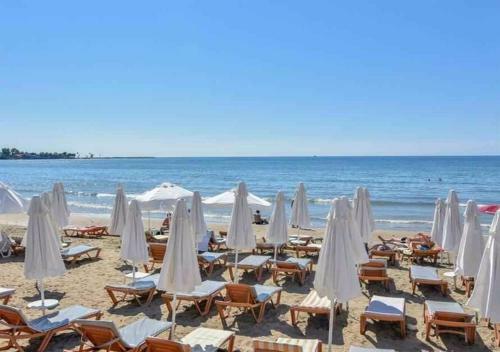 Hotel Clover Magic Altinkum Park