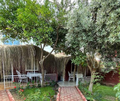 Hotel Moy-side