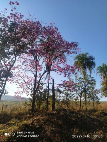 Pousada, Camping E Restaurante Recanto Do Surubim