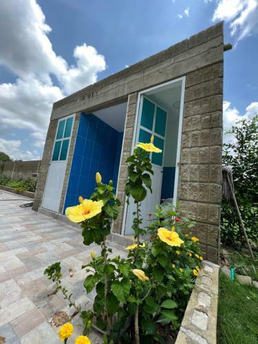 Casa Finca La Milagrosa