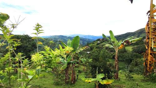 Acogedora Casa De Campo Con Vista A La Monta�a