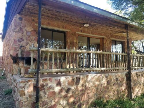 Bungalow Glamping @ Salbu