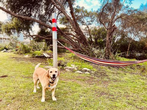 Posada No 34 Where Nature Meets The Ocean Pet Friendly