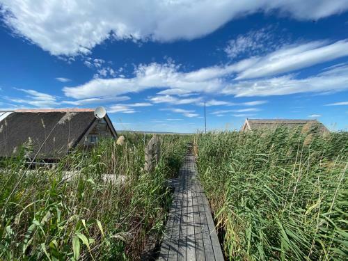 Pfahlbau Seeh�tte Am Neusiedlersee - Waterfront 2