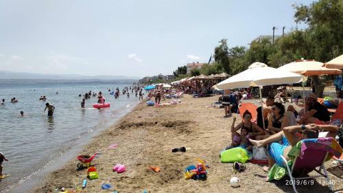 Apartamento Liland Little Harbor