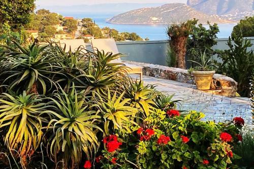 Villa Agave
