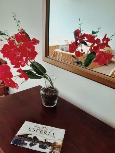 Grand Hotel Esperia - New Property