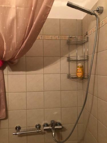 Apartamento Artemis House