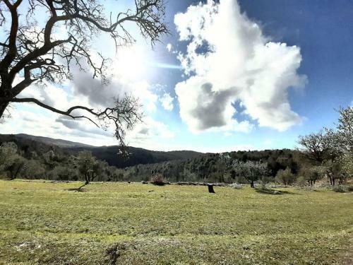 Casa Il Mandorlo Nel Chianti