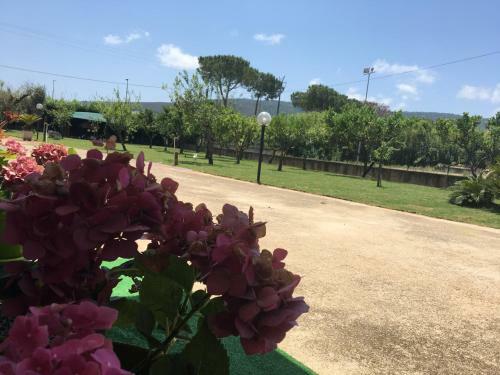 Bed & Breakfast La Casa Di Nonna Anna