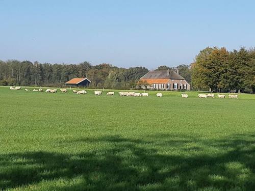 Woonboerderij Joostink In Vorden