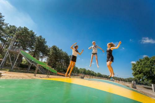 Safaritent Vakantiepark De Bergen Wanroij